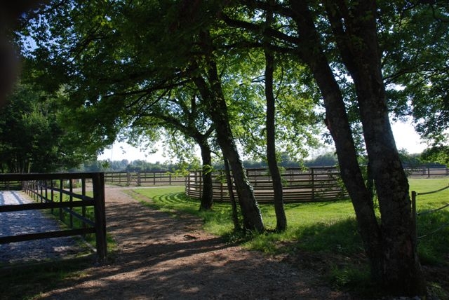 Domaine du Bois Maillot